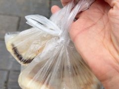 -眼镜粑粑