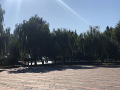 -白洋淀景区