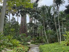 -滨海湾金沙购物商场
