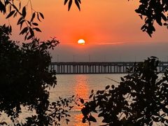 -宝安西湾红树林湿地公园