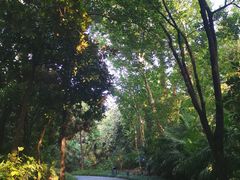 -春兰国宾馆(凤城河风景区老街店)