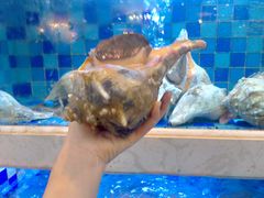 -渔家海鲜舫(宝湖路店)