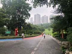 -龙头寺公园