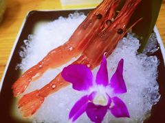 -银子铁板烧料理自助餐(人民广场店)