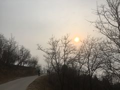 -鬼笑石后山停车场