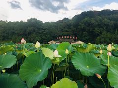 -古田会议纪念馆