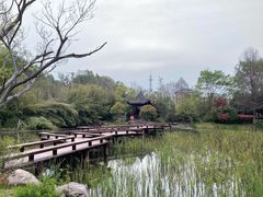 -金银湖国家城市湿地公园