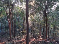 -紫金山山顶公园
