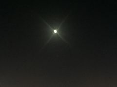 -清真华宇开锅羊肉