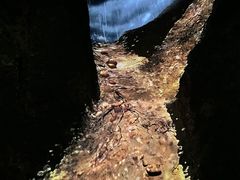 -湖南省地质博物馆