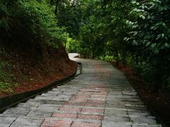 -分塔山省级森林公园