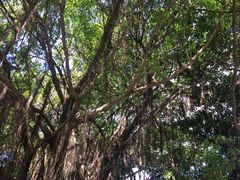 -船政文化景区-罗星塔公园