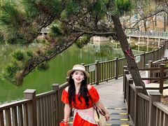 -沂蒙山旅游区云蒙景区(蒙山国家森林公园)