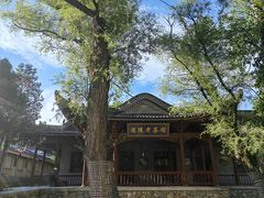 -渭源县灞陵桥公园