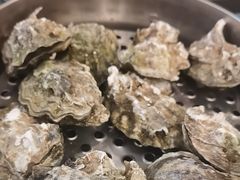 -蚝美人·生蚝海鲜烧烤(茶花园店)