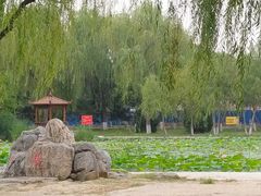 -太阳宫公园