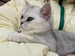 -共舞时光猫咖·狗咖(新街口店)