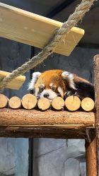 -Zoolung Zoolung动物主题公园(海信广场店)