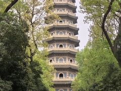 -灵谷景区