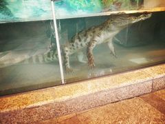 -成都浩海立方海洋公园