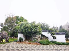 -堤角公园