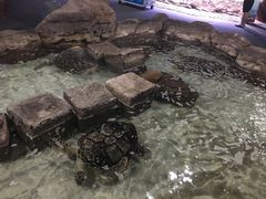 -杭州海底世界