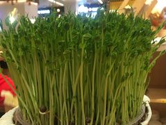 -好彩猪肚鸡(正弘城店)