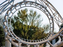 -上海共青森林公园