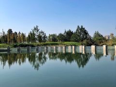 -眉山湿地公园(东坡区)