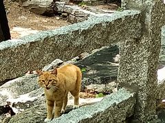 -天津盘山风景名胜区