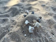 -三亚西岛海洋文化旅游区