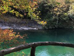 -石台牯牛降景区