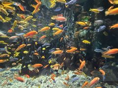 -太平洋海底世界