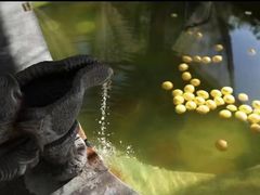 -国御温泉度假小镇