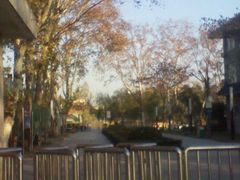 -泰州凤城河风景区-泰山公园