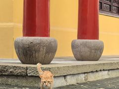 -无锡惠山寺