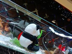 -红辣椒·川菜·火锅(张杨路店)