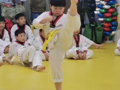 -浛道跆拳道·拳击·体适能