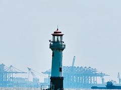 -上海吴淞炮台湾国家湿地公园
