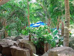 -海口观澜湖火山温泉谷