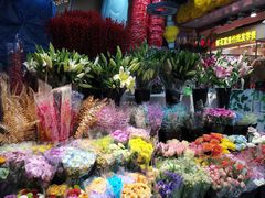 -大自然花鸟鱼虫市场