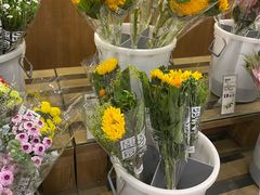 -鹿岛会员店 (龙湖三千集天街店)