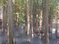 -东湖落雁景区