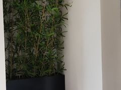 -三煮纸包鱼(青岛总店)