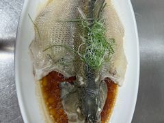 -伊喜饺子(五道口学院路店)