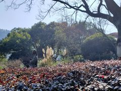 -中国茶叶博物馆(双峰馆区)