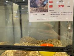 -狗道宠物(常熟印象城店)