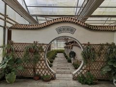 -上海都市菜园