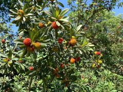 -宝岩生态观光园