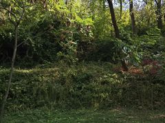 -金龙寺国家森林公园